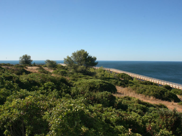 carvoeiro apartment t2 for rent